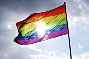 This brief on LGBT education in Israel examines two of the nine areas IMPACT-se reviews during textbook analysis – ‘Gender Identity and Representation,’ and ‘Sexual Orientation.’